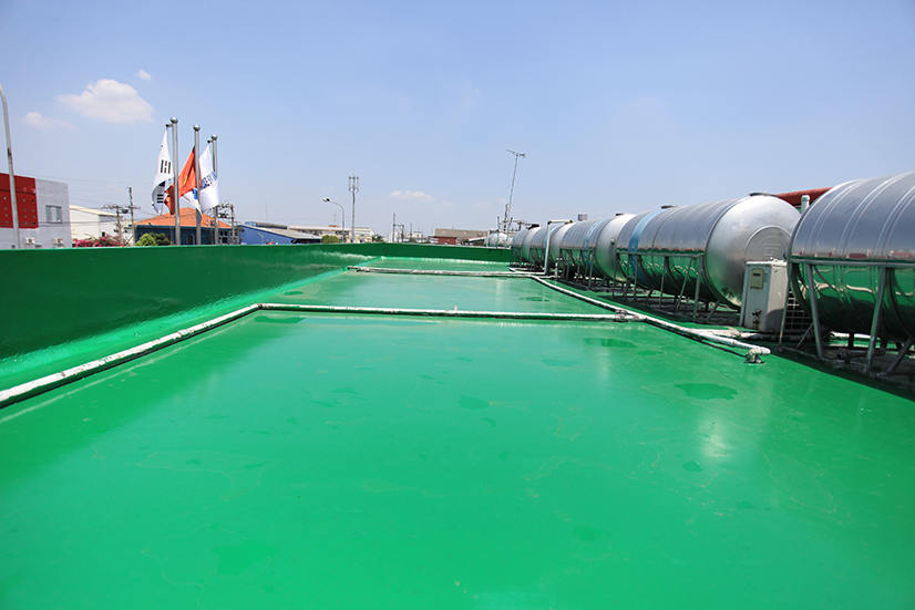 chống thấm ctmax cho sàn màu xanh green